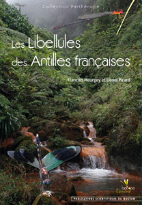 Les libellules des Antilles Françaises
