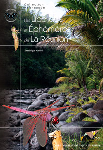 Les Libellules et éphémères de La Réunion
