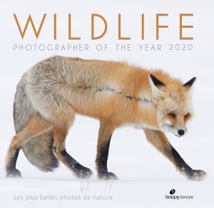 Wildlife Photographer of the Year 2019 - Les plus belles photos de nature
