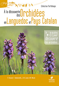 À la découverte des Orchidees en Languedoc et Pays Catalan