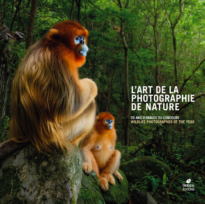 Wildlife Photographer of the Year 2021 - Les plus belles photos de nature