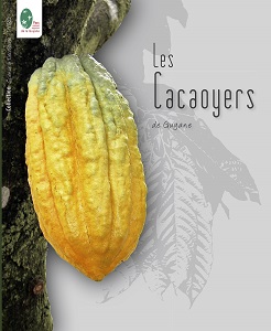 Cacaoyers de Guyane
