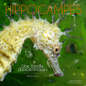 Hippocampes - Une famille d'excentriques