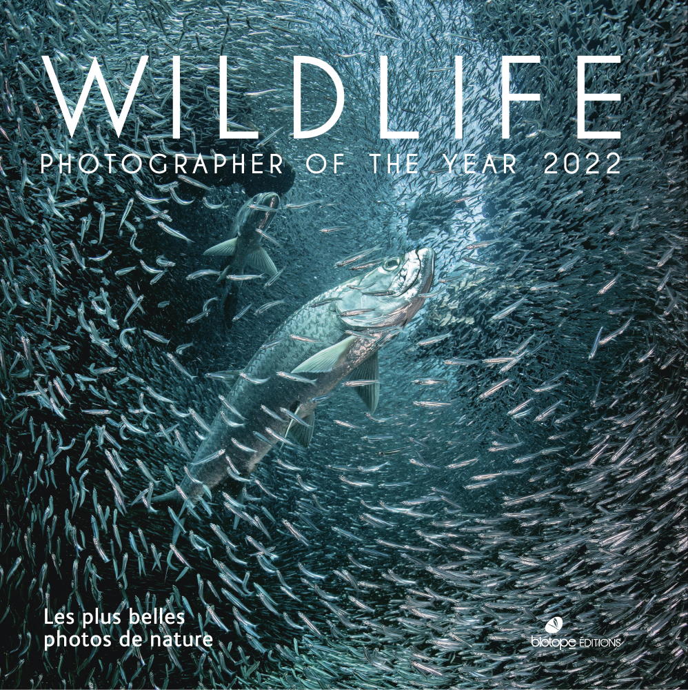 Wildlife Photographer of the Year 2022 - Les plus belles photos de nature
